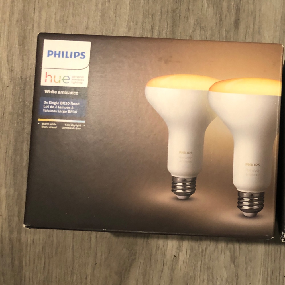 Philips hue BR30